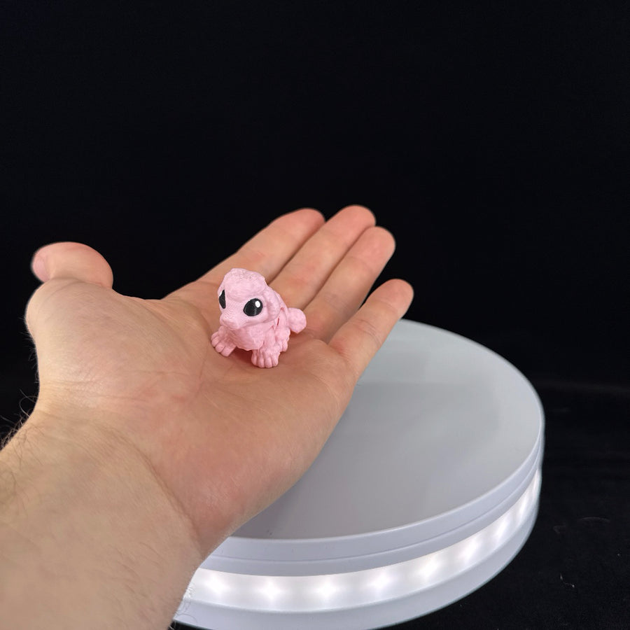 Poodle mini