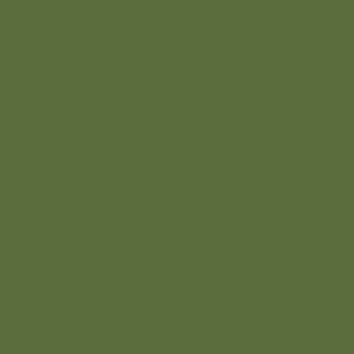 Olive Green PLA Classic Filament - 1.75mm 1kg