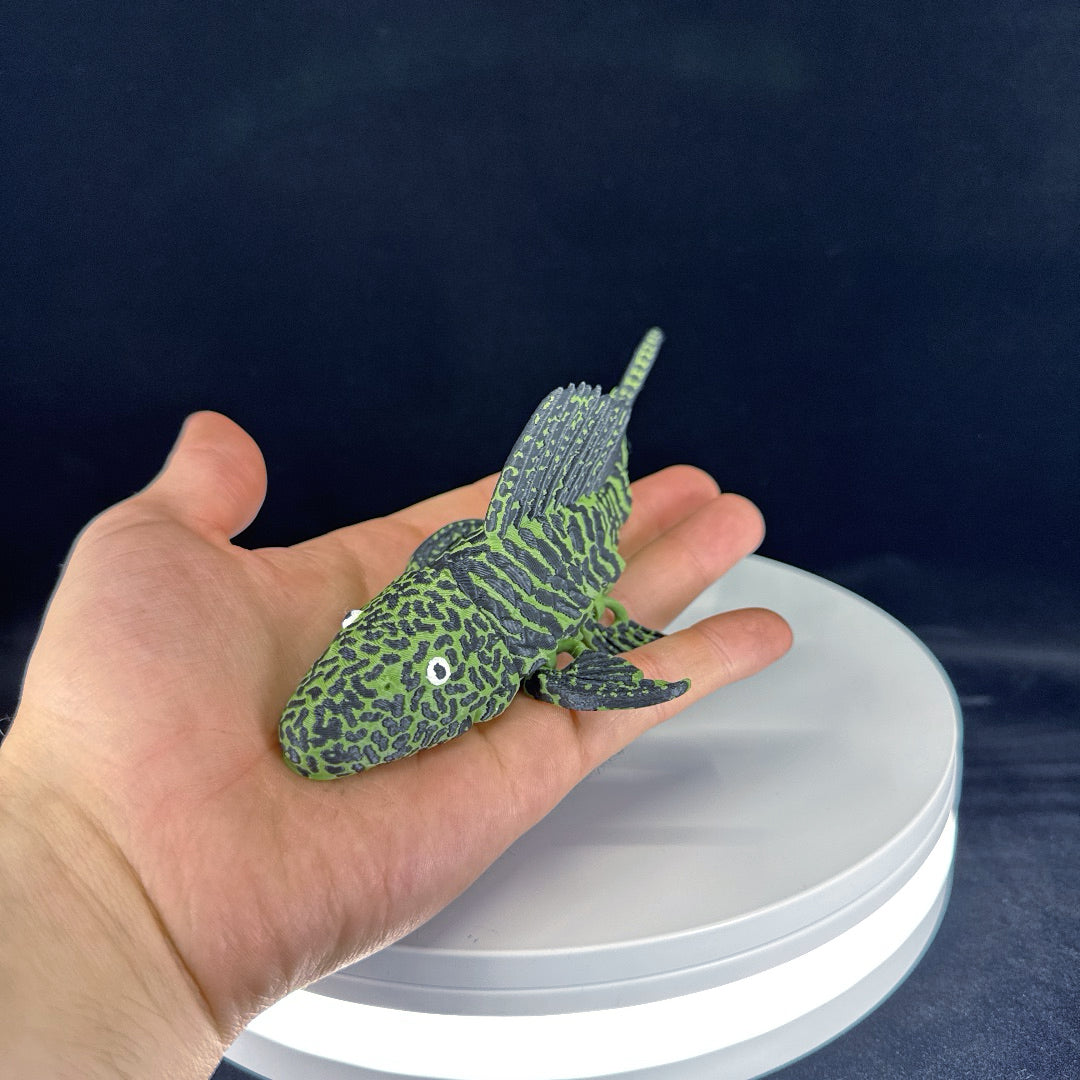 Pleco
