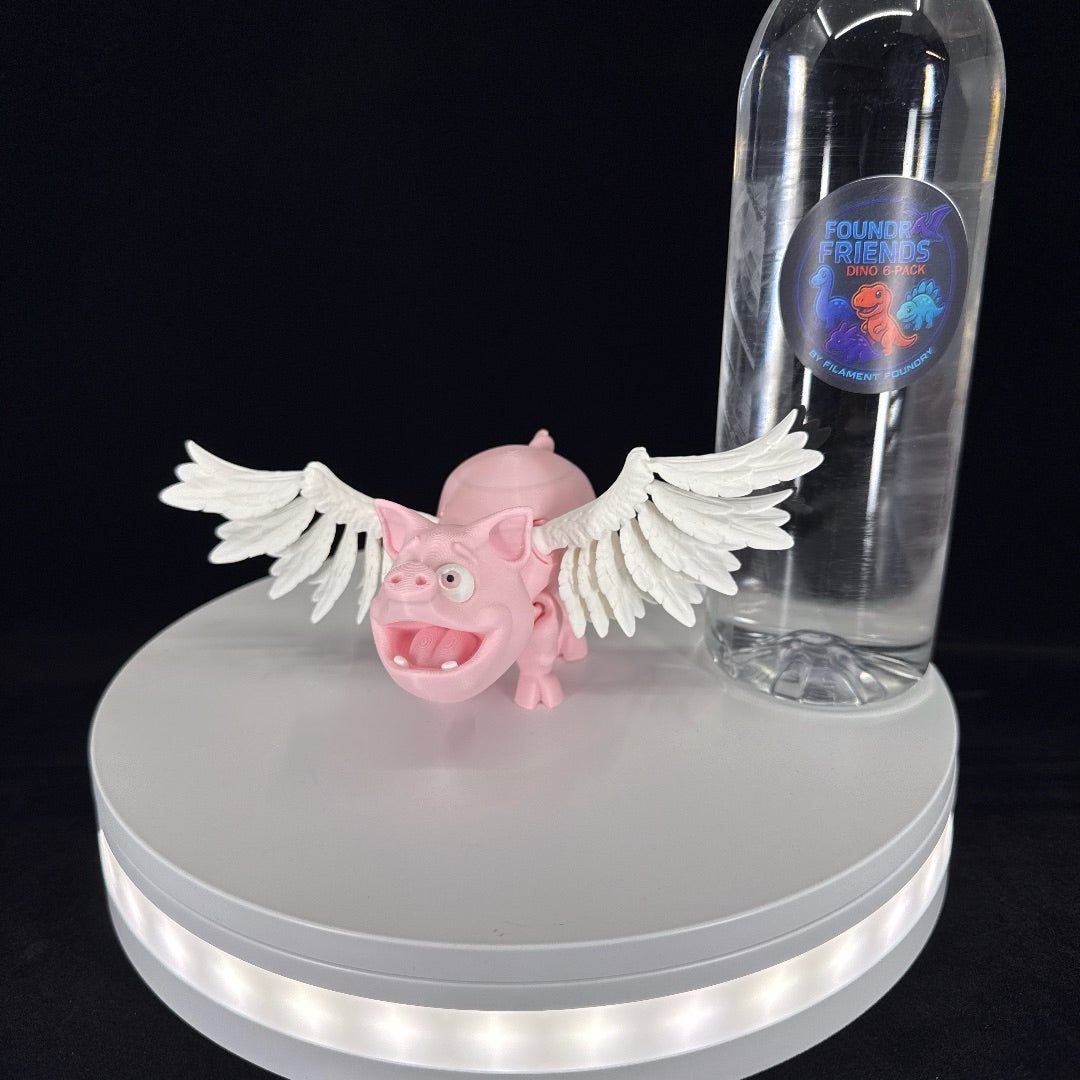 Flying pig