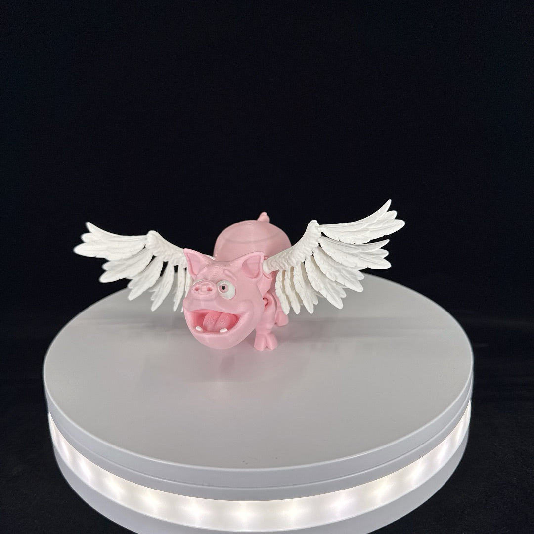 Flying pig