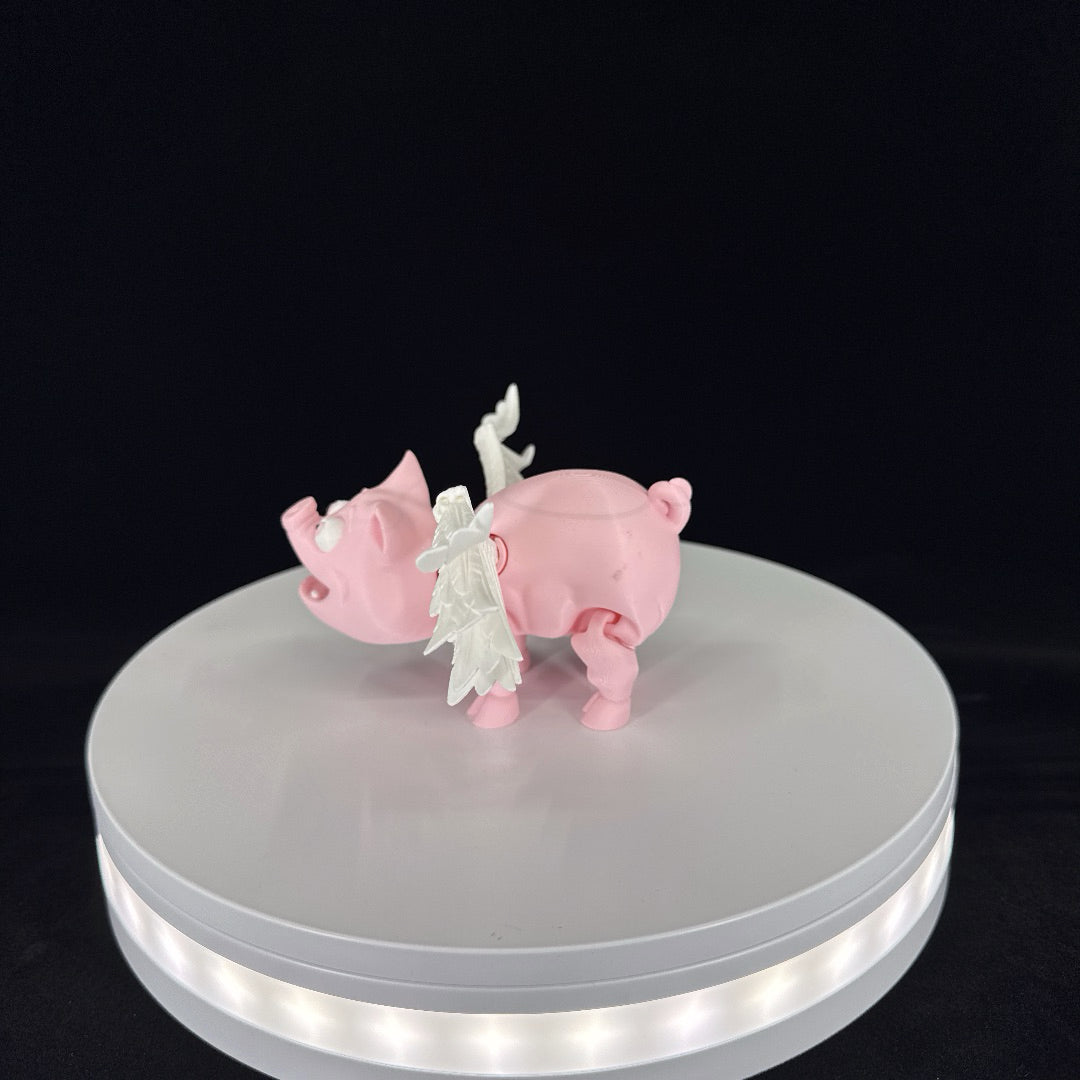 Flying pig