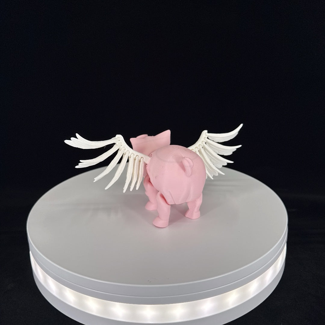 Flying pig