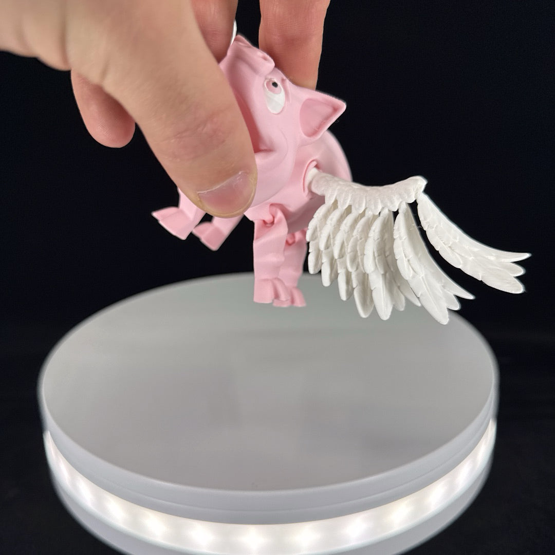 Flying pig