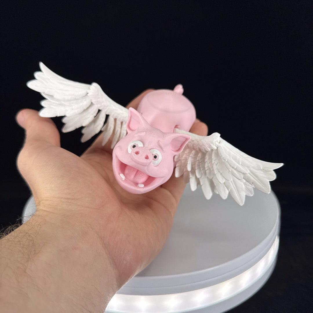 Flying pig