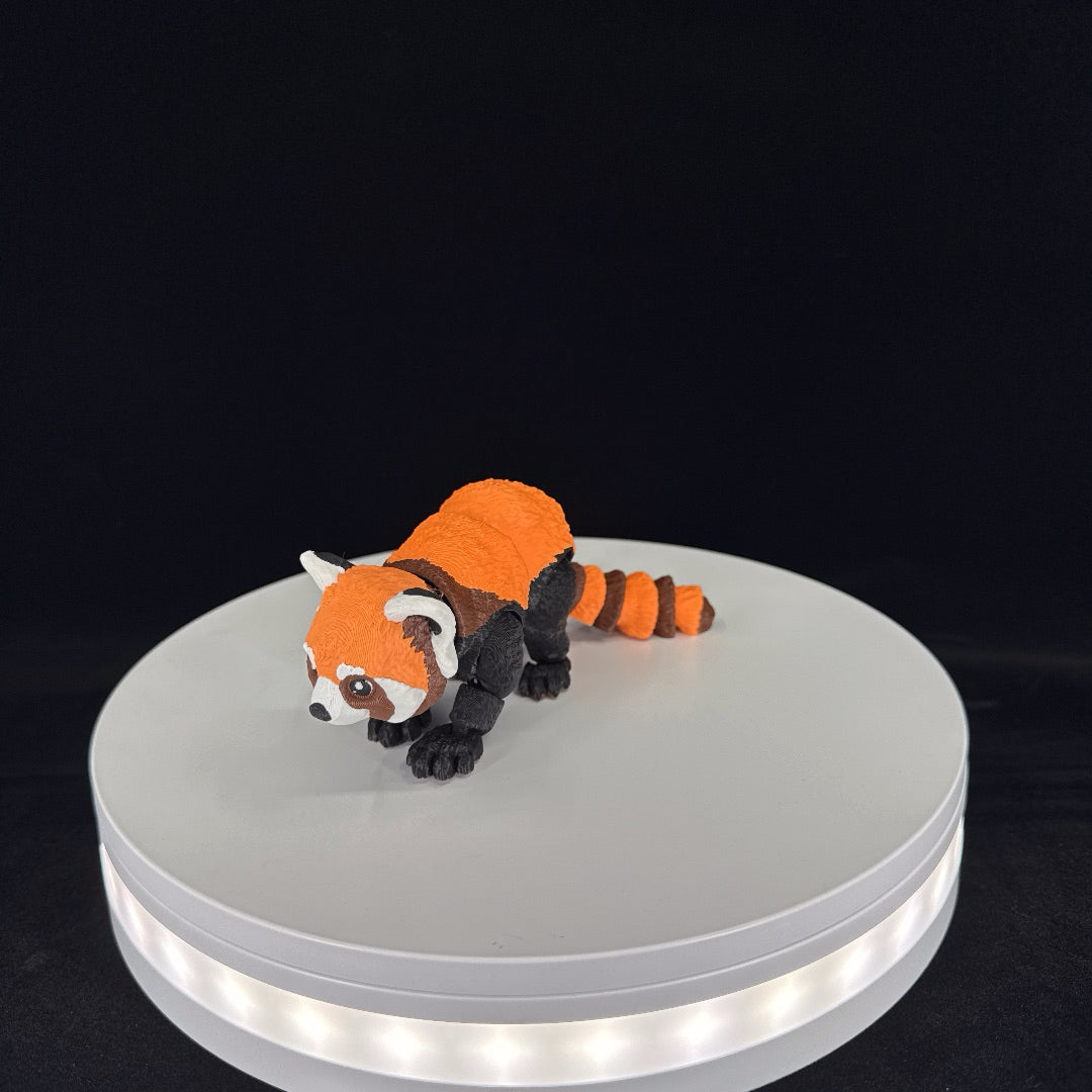 Red panda