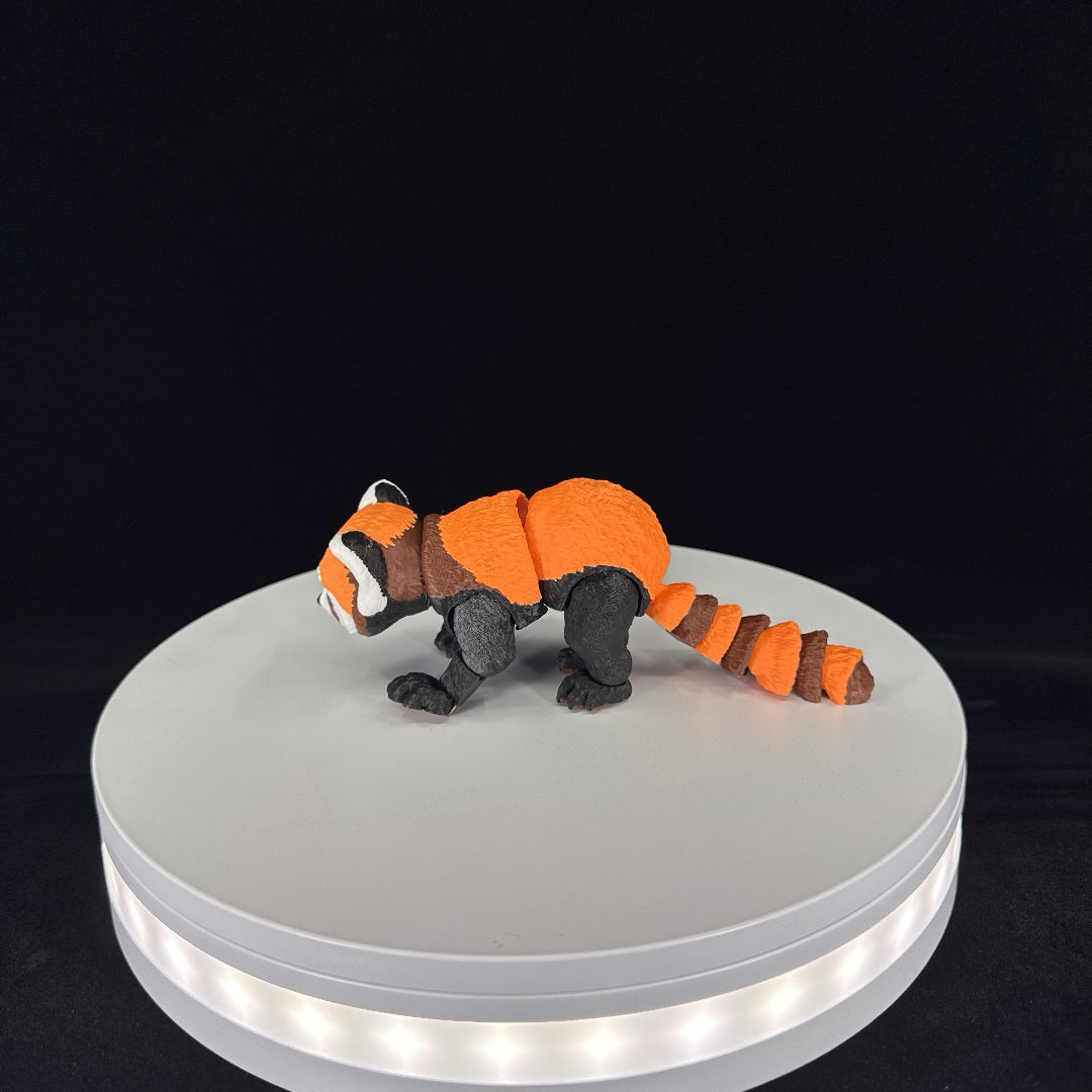 Red panda