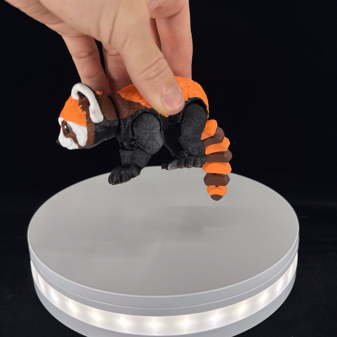 Red panda