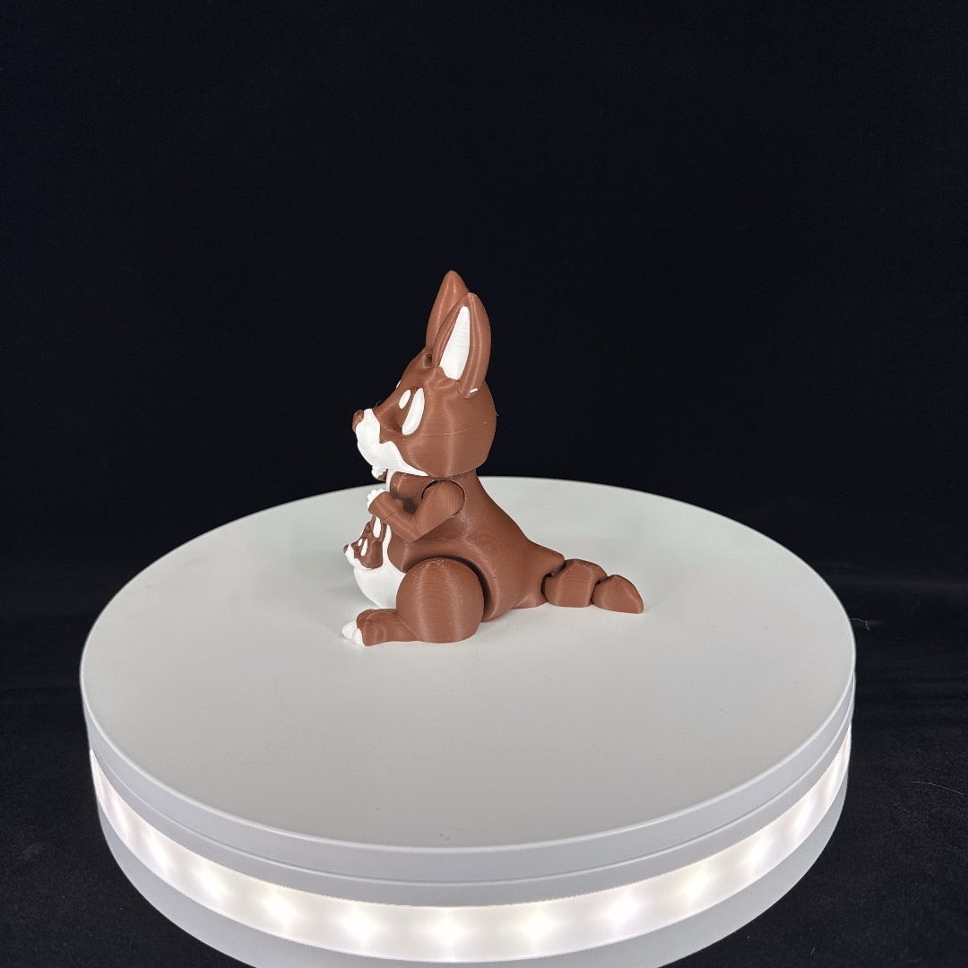 Kangaroo