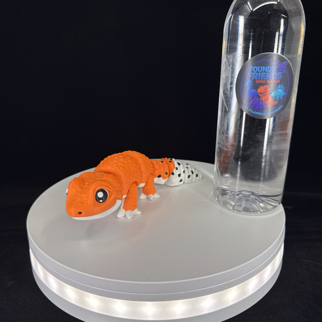 Leopard gecko