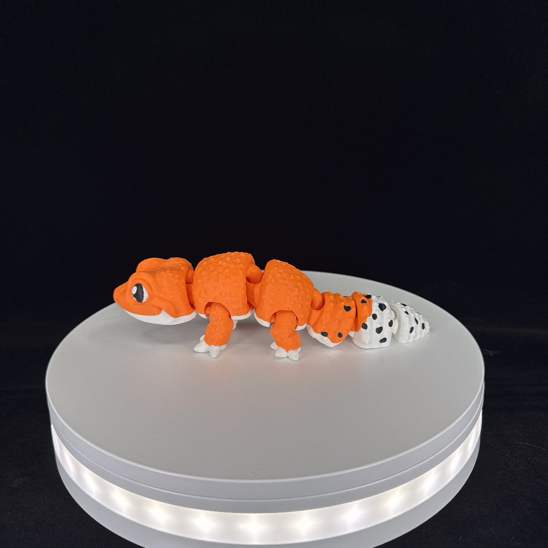 Leopard gecko
