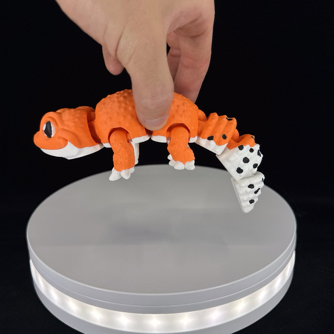 Leopard gecko