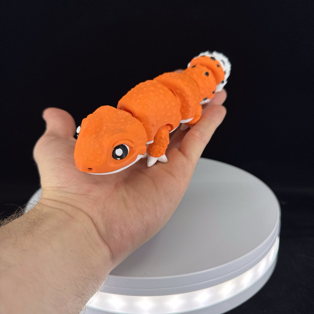 Leopard gecko