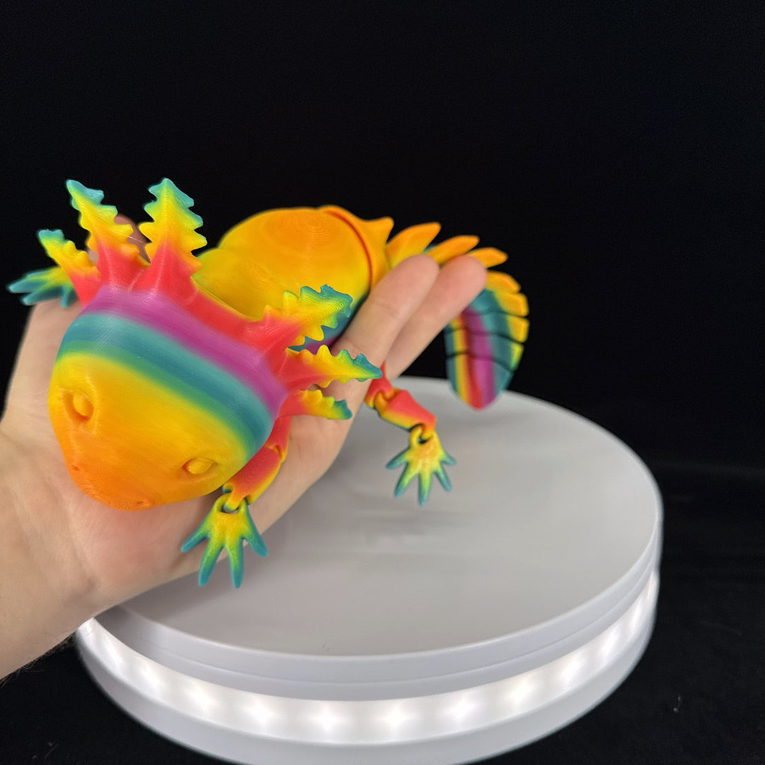 Large Axolotl