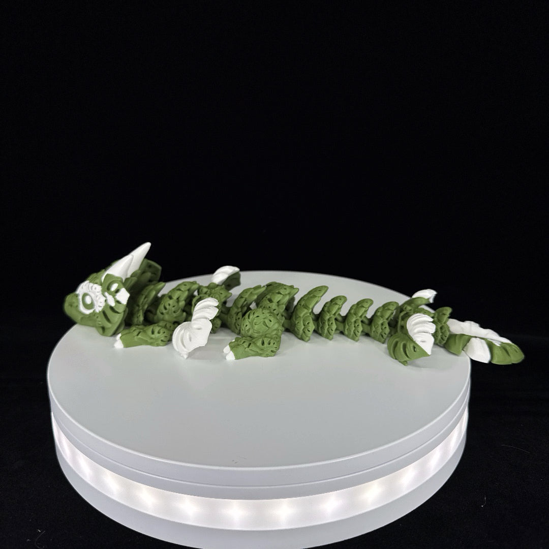 Monstera plant dragon