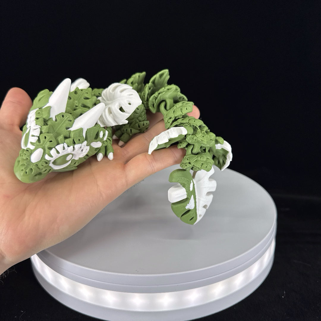 Monstera plant dragon