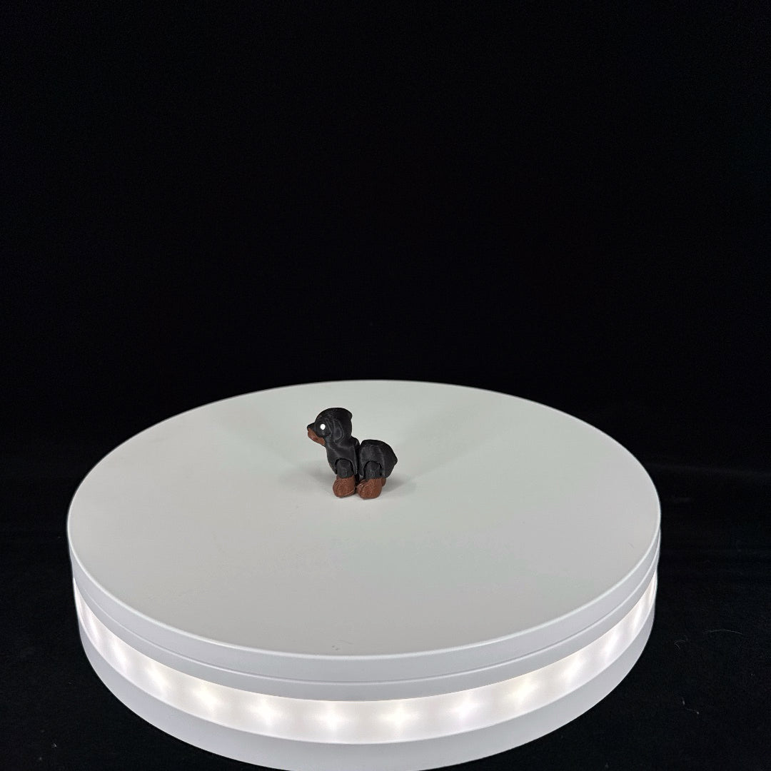 Rottweiler mini