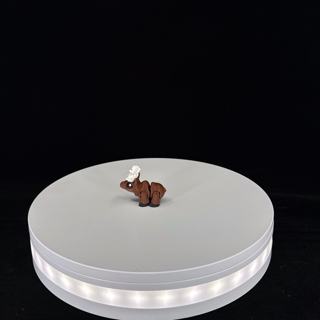 Moose mini