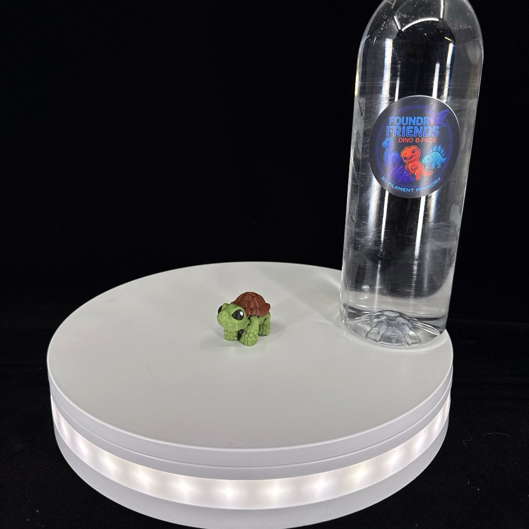 Tortoise mini