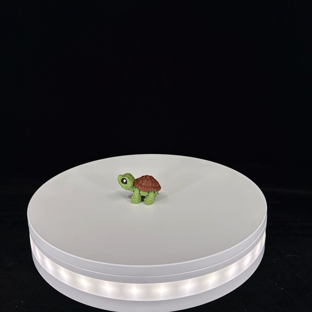 Tortoise mini