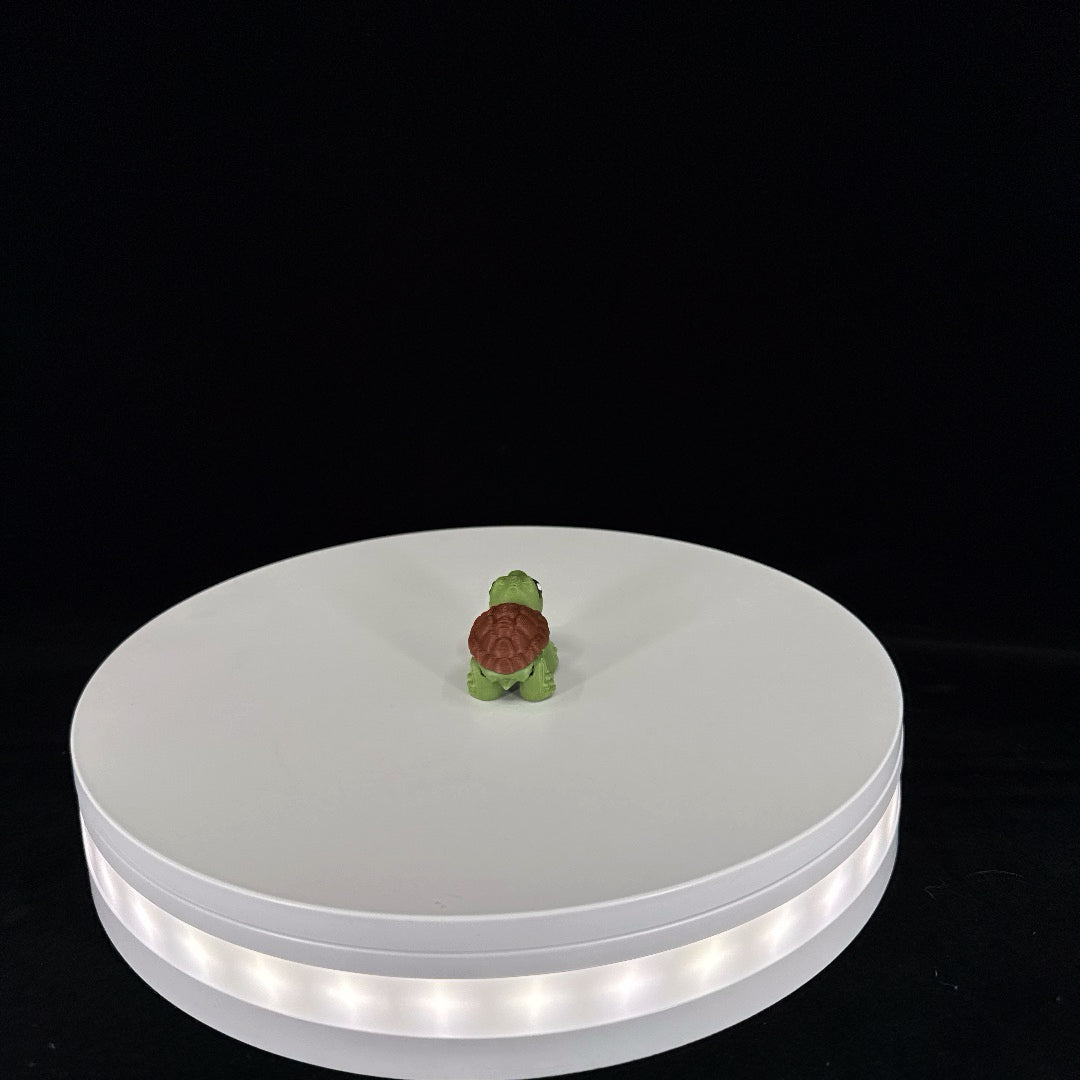 Tortoise mini