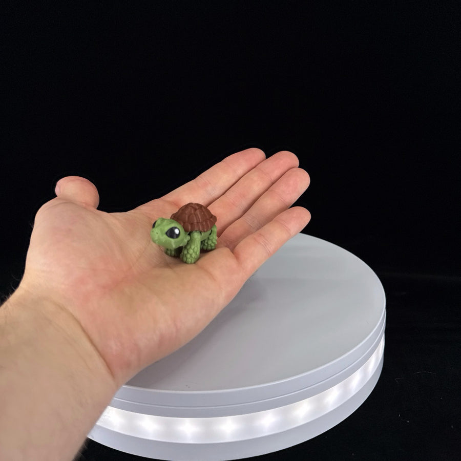 Tortoise mini