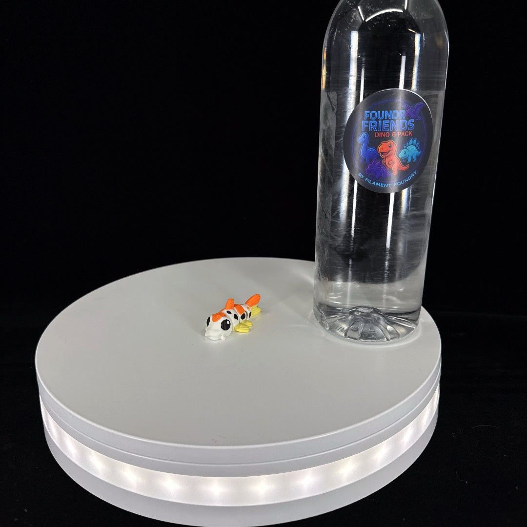 Koi fish mini