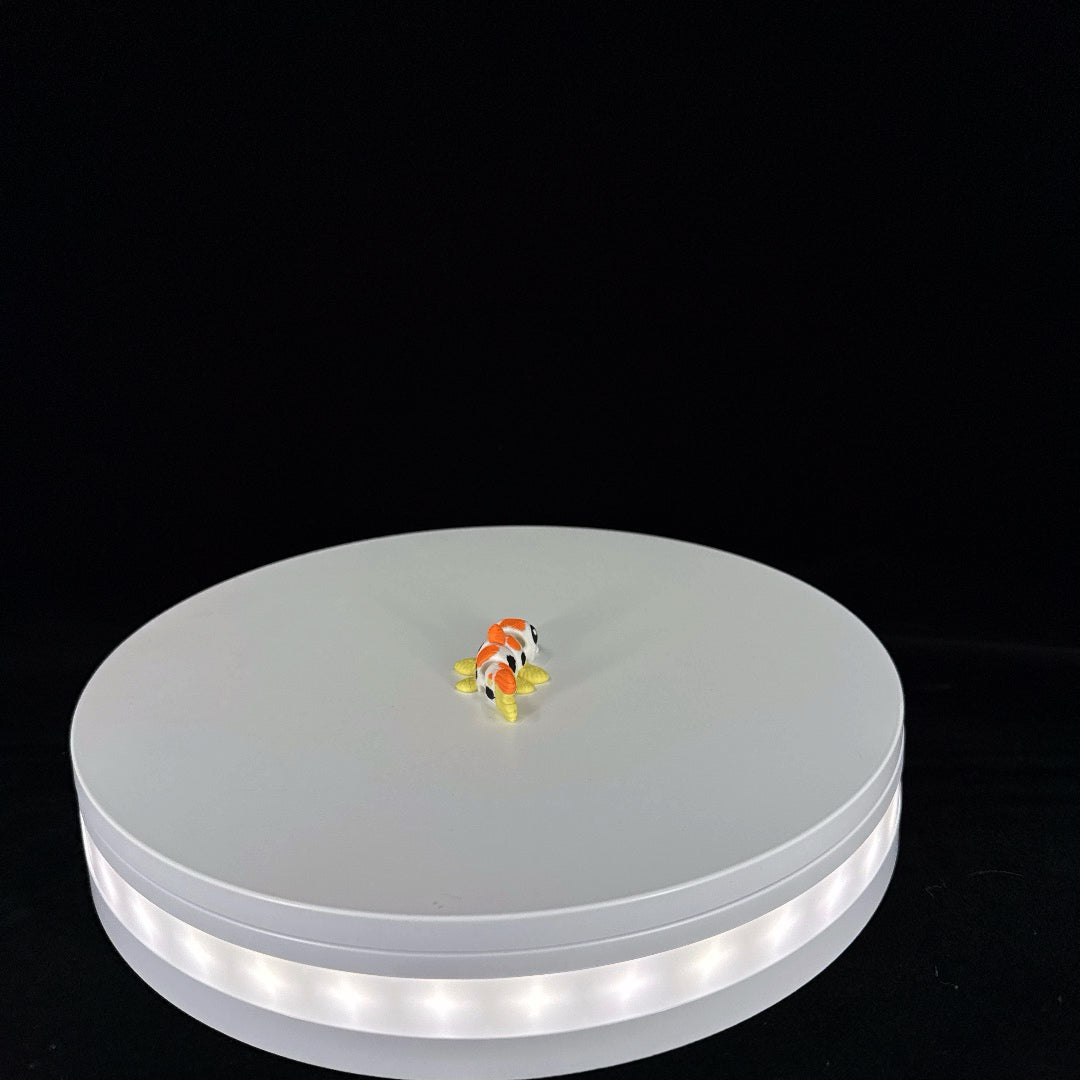 Koi fish mini