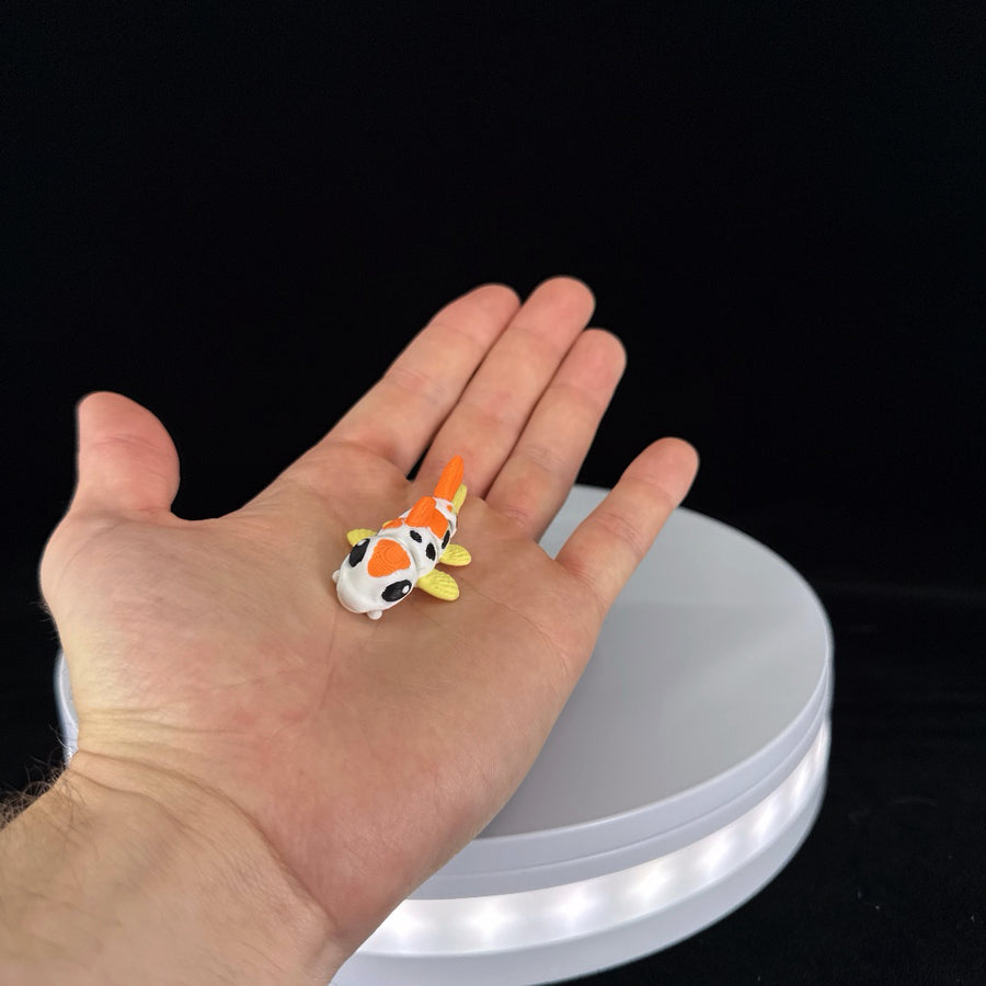 Koi fish mini