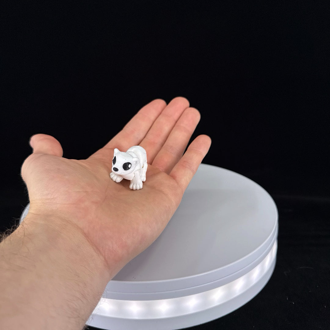 Polar Bear