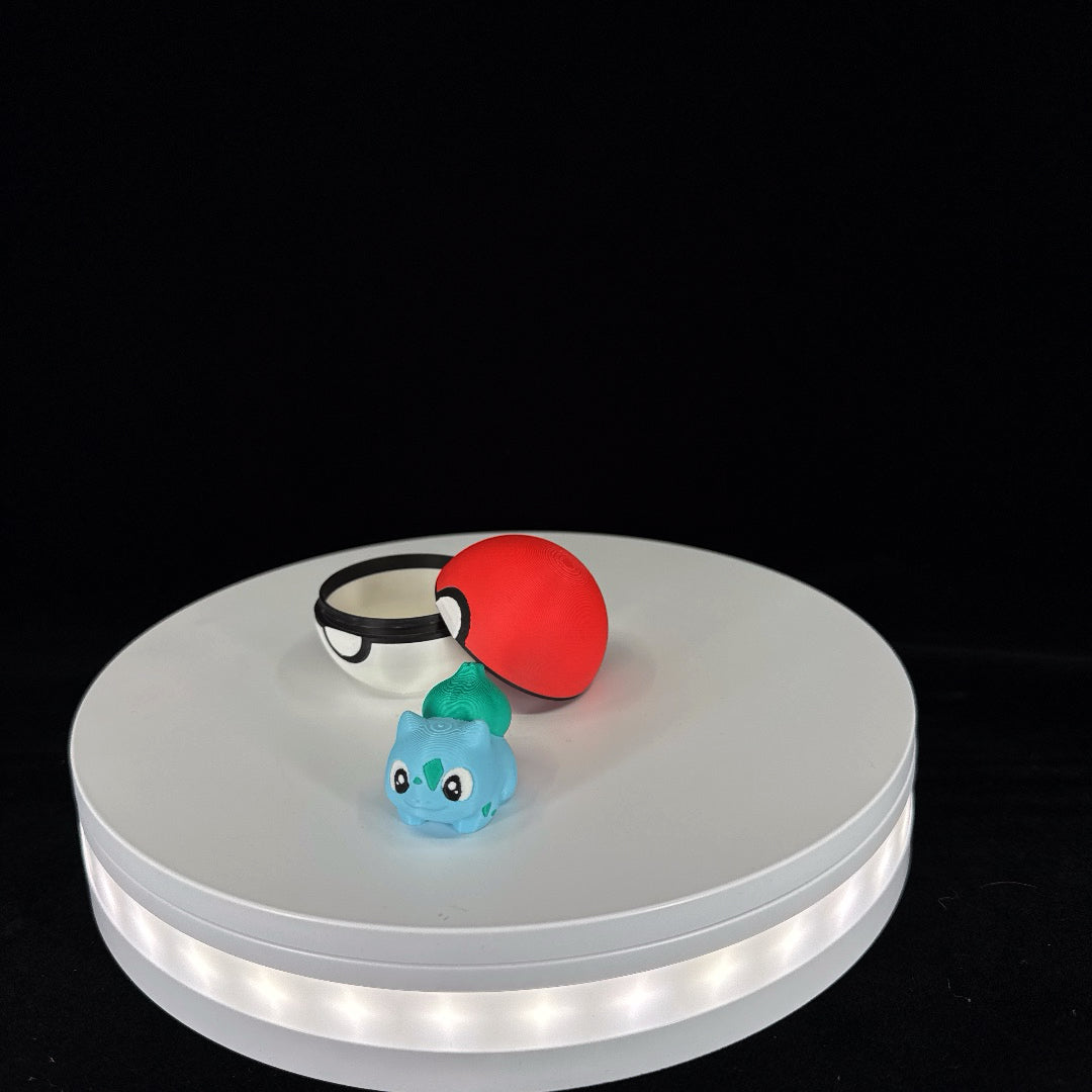 Mystery Pokemon mini
