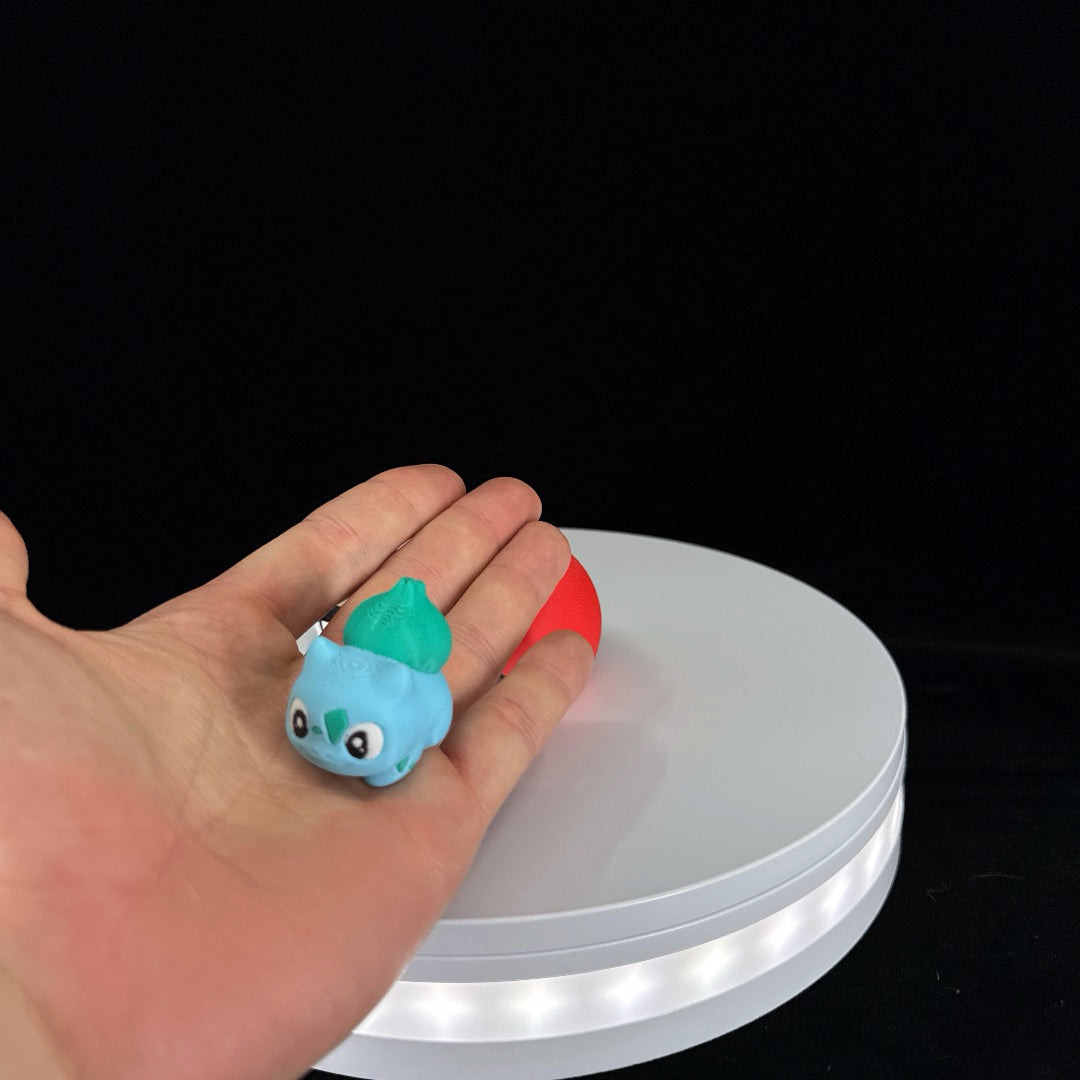Mystery Pokemon mini