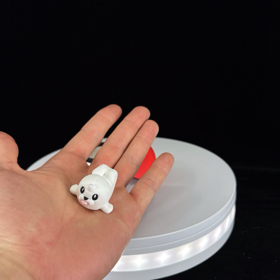Mystery Pokemon mini