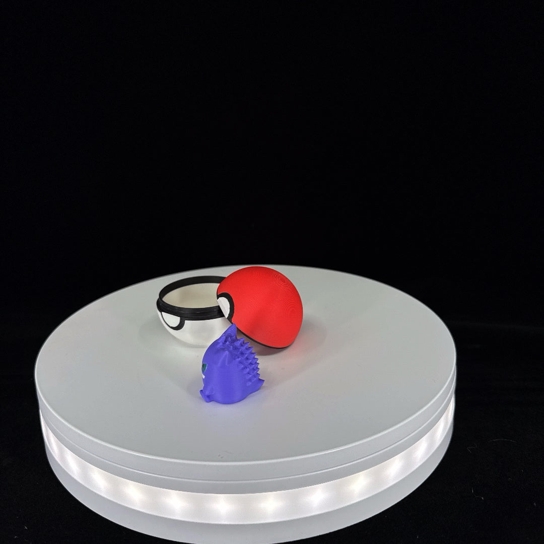 Mystery Pokemon mini