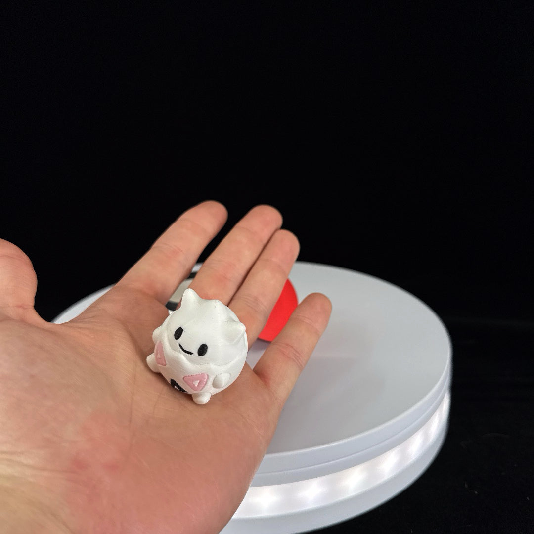 Mystery Pokemon mini